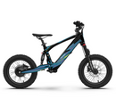 Youth 16" Flying Fox Electric Dirt Bike