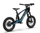 Youth 16" Flying Fox Electric Dirt Bike