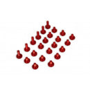 Frame & Plastic Bolt Kit