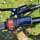 Dirt eBike X260