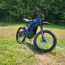Dirt eBike X260