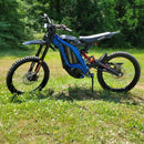 Dirt eBike X260