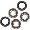 Wheel Bearing and Seal Kit