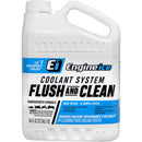Coolant System Flush & Clean