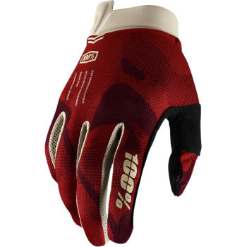 iTrack Sentinel Glove