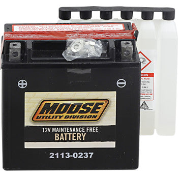 YTX14-BS AGM Maintenance Free Battery