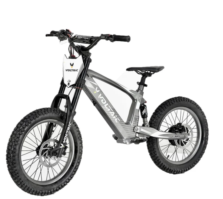 Youth 18" Flying Fox Electric Dirt Bike