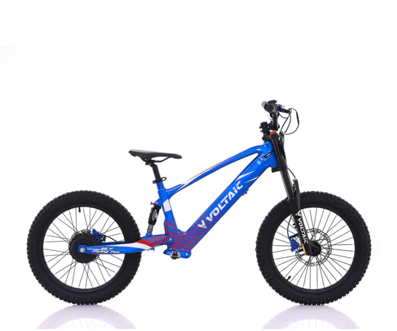 Youth 20" Flying Fox Electric Dirt Bike - 48V