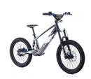 Youth 20" Flying Fox Electric Dirt Bike