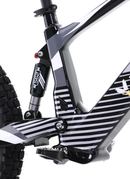 Youth 20" Flying Fox Electric Dirt Bike