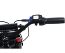 Youth 20" Flying Fox Electric Dirt Bike