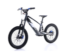 Youth 20" Flying Fox Electric Dirt Bike