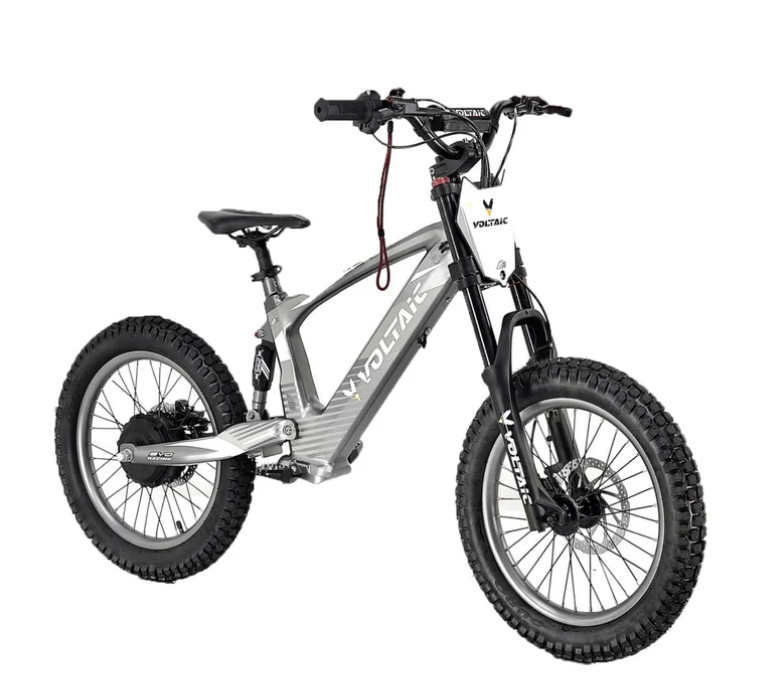 Youth 18" Flying Fox Electric Dirt Bike