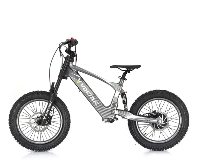 Youth 18" Flying Fox Electric Dirt Bike