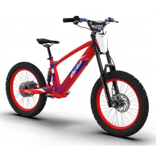 Kinder eBike 20