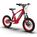 Kinder eBike 16" Race