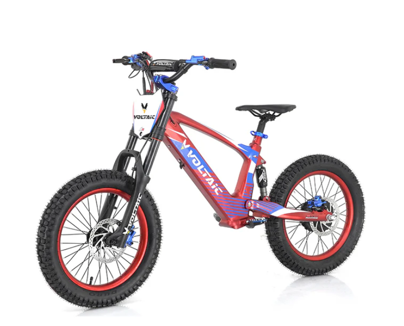 Youth 18" Flying Fox Electric Dirt Bike