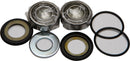 Stearing/Bearing Seal Kit