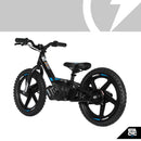 16eDrive Brushless Bike