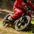 16eDrive Brushless Bike