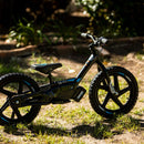 16eDrive Brushless Bike