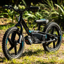 16eDrive Brushless Bike