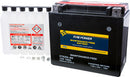 Maintenance Free Battery CTX20L-BS