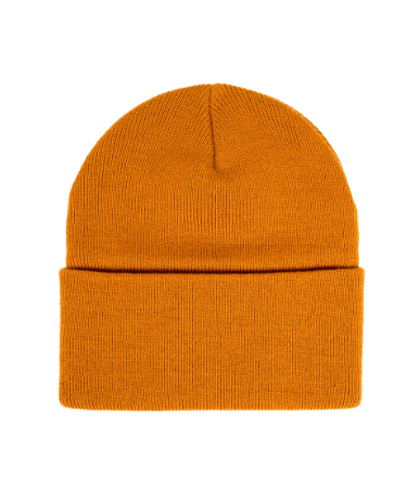 Youth Erie Beanie